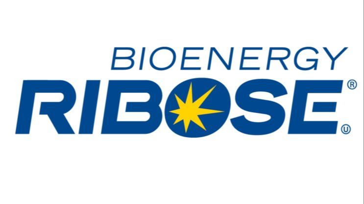 What Is Bioenergy Ribose?