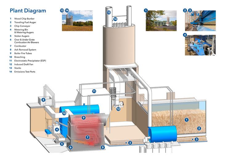 What Is Biomass Energy System?