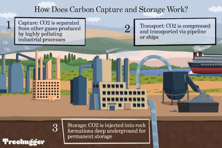 What Is Carbon Capture And Storage To Generate Electricity?