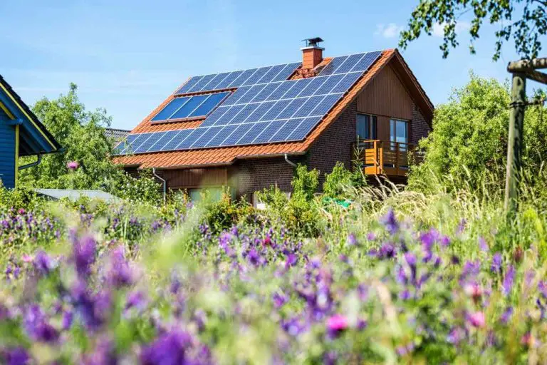 What Is The Downside Of Solar Panels On A House?