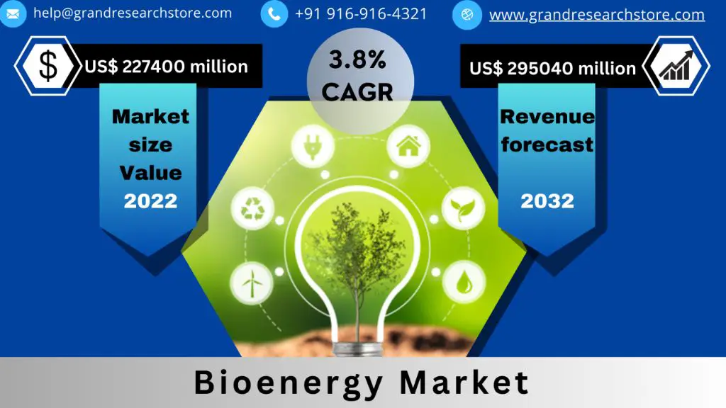 What is the outlook for bioenergy?