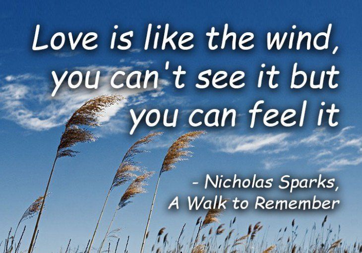 What Is The Quote About Wind And Love?