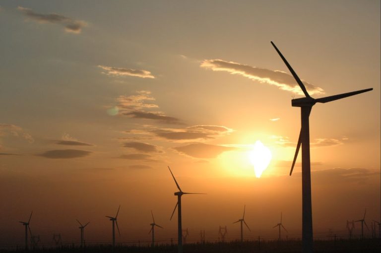 What Is The Scientific Name For Wind Energy?