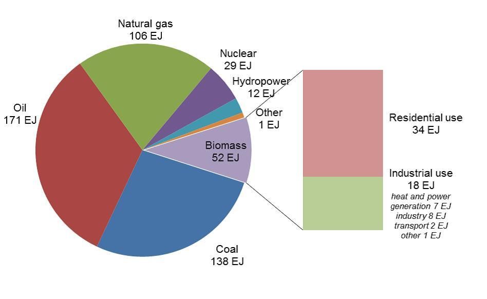 What is the world's most used source of bioenergy?