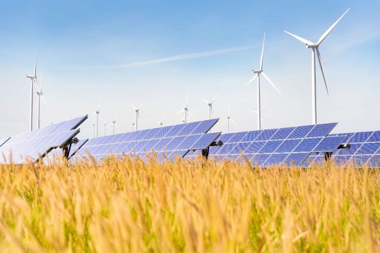 What Is The Role Of Renewable Energy In Environmental Sustainability?
