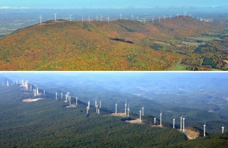 What Could Opponents Of Wind Energy Argue?