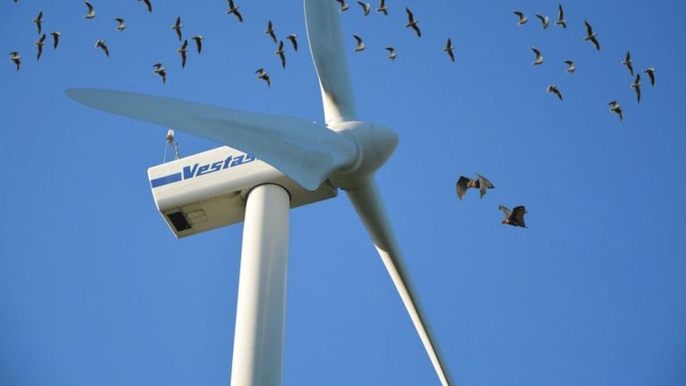 Why Are People Against Wind Power?