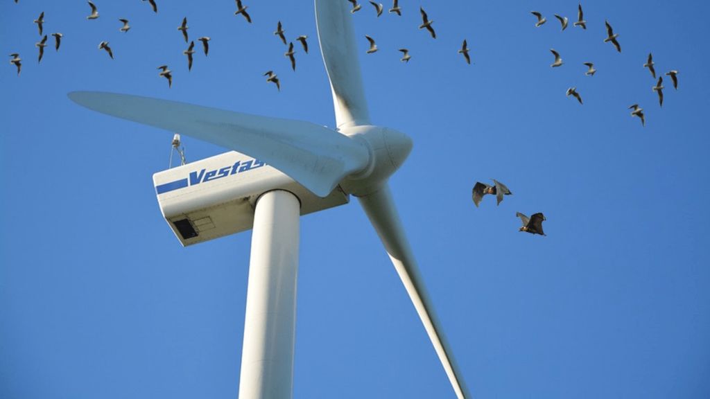 wind turbines can negatively impact bats and birds via direct collisions and disrupting habitats and ecosystems.