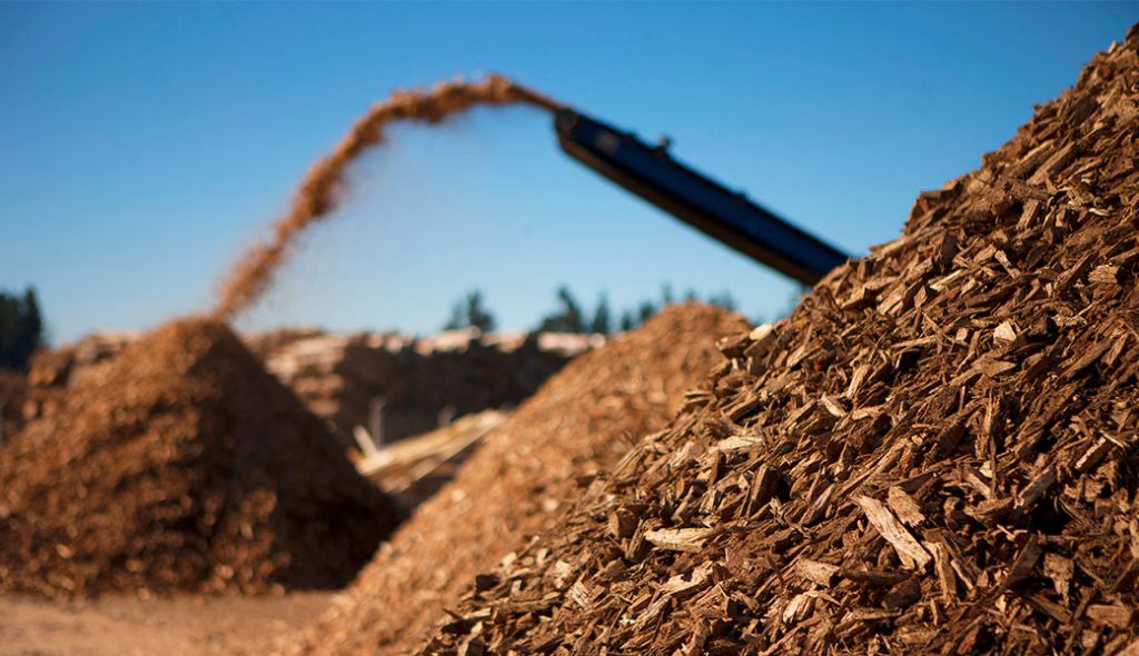 wood chips and other woody biomass feedstocks used in biopower generation