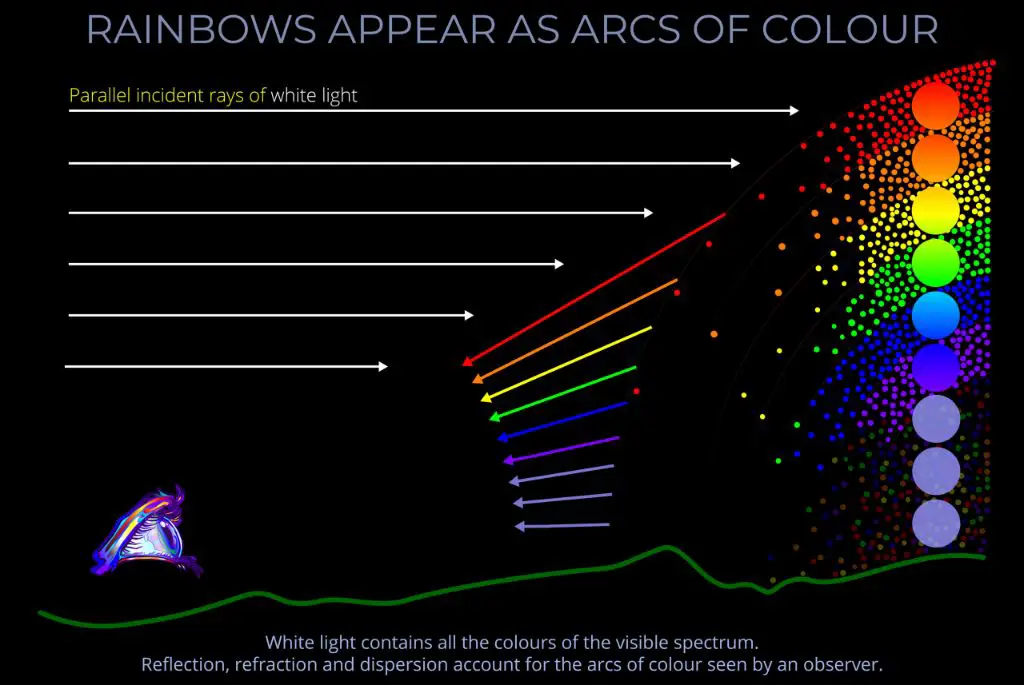a person looking at a rainbow which contains the different wavelengths of visible light.