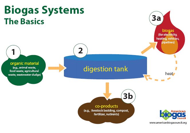 How Is Biomass And Energy Produced From Waste?