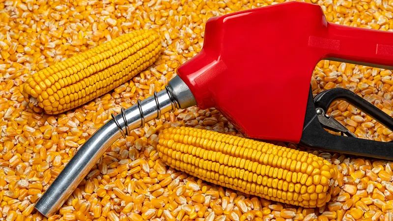 biofuels like ethanol made from corn can provide renewable transportation fuel.