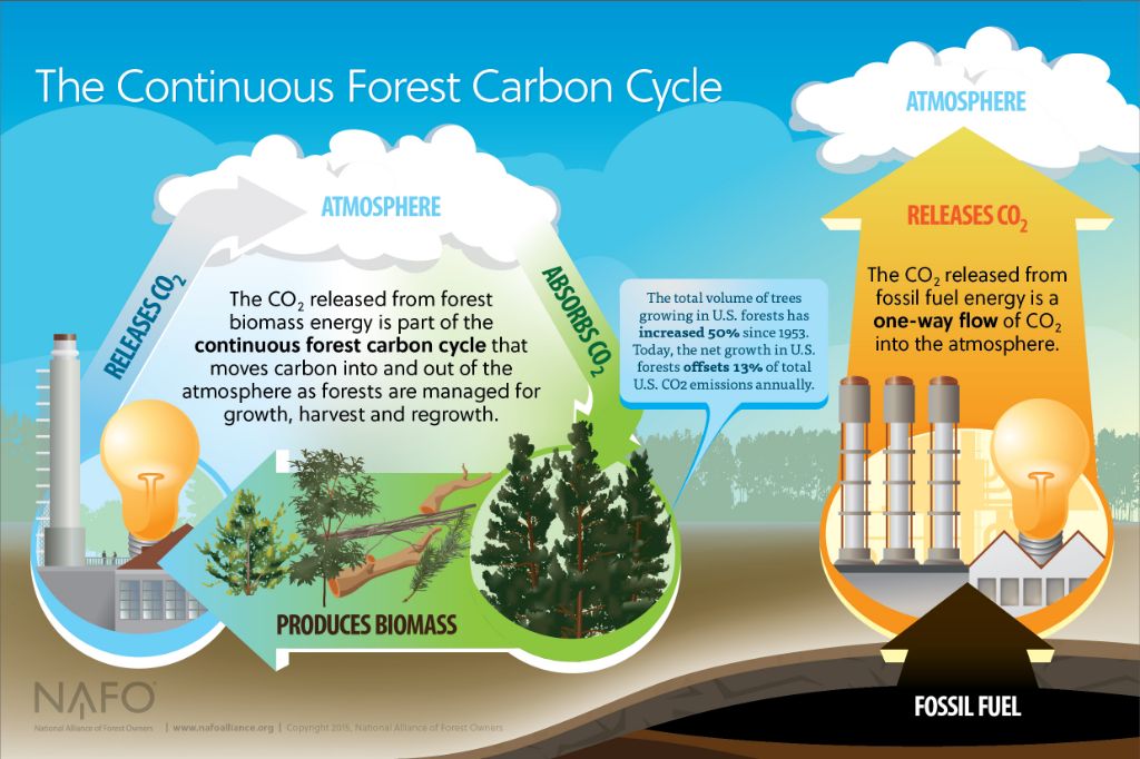 biomass benefits include renewability and carbon neutrality