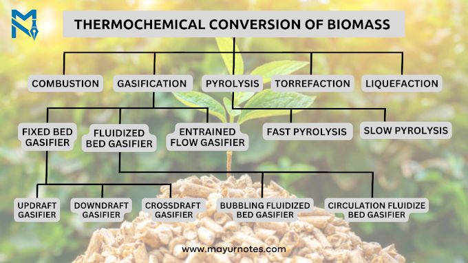 biomass can be converted into useful energy through processes like combustion, gasification, and pyrolysis.