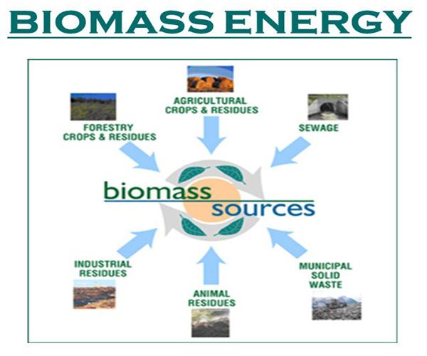 biomass fuel comes from organic matter like plants, animals, municipal waste, and wood.
