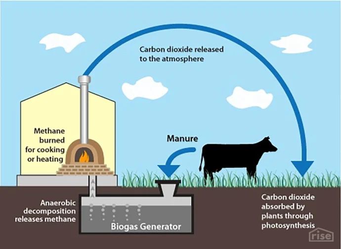 biomass is a renewable source of energy from plants and animals that helps eliminate waste while being carbon neutral.