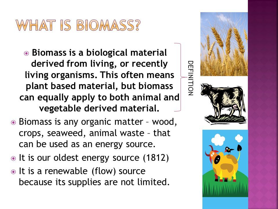 biomass is defined as organic material that comes from plants and animals