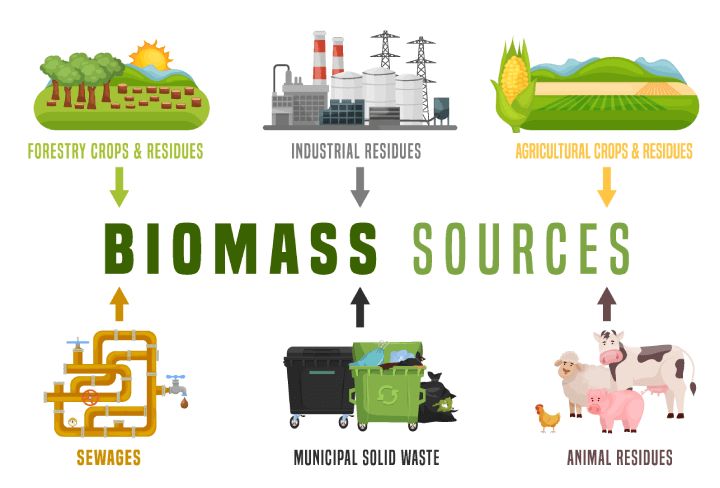 biomass offers a renewable energy source from organic plant and animal matter.