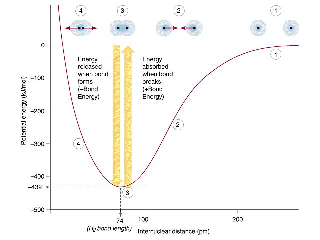 What Bonds Store The Most Energy?