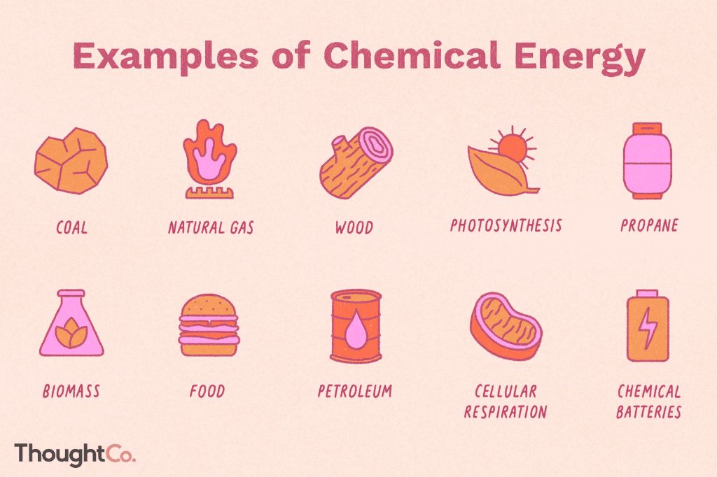 food contains large amounts of chemical energy stored in the bonds between atoms.