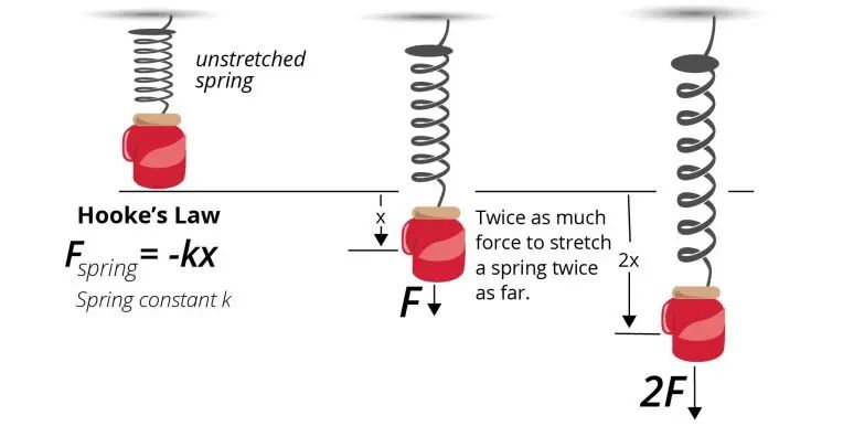 Why Does A Spring Gain Potential Energy?