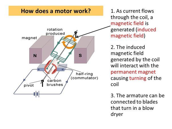 interactions between magnetic fields in electric motors convert electrical energy into mechanical motion
