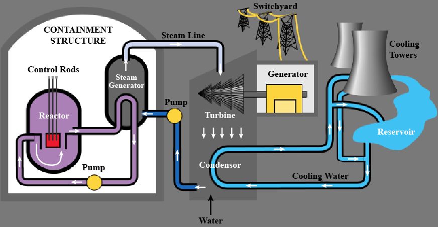 nuclear fission and fusion convert nuclear energy into thermal energy that can generate electricity.
