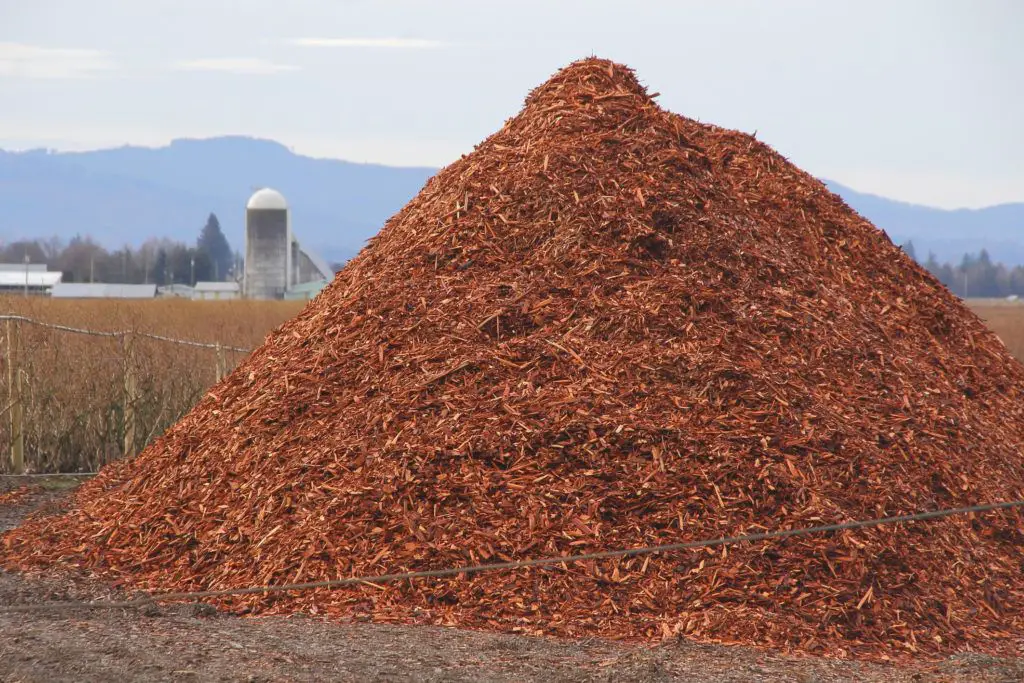 pile of wood chips for biomass energy