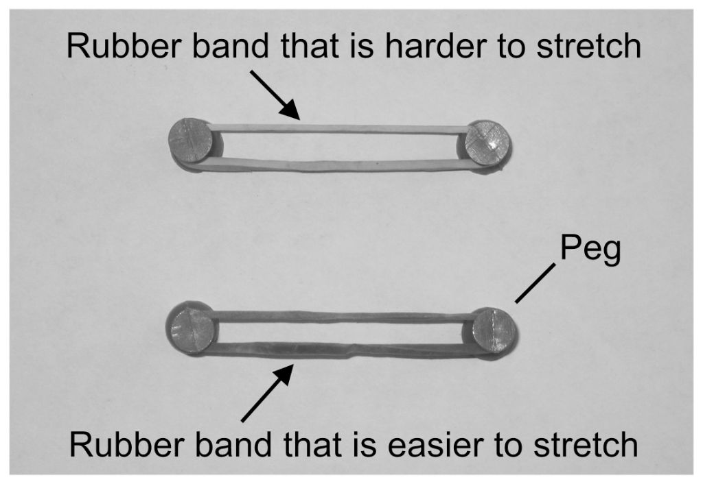 rubber bands stretched from their relaxed state exhibit elastic potential energy that can be released to do work.