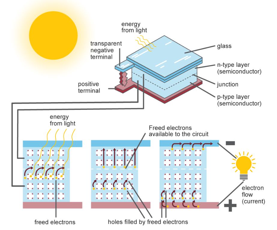 solar cells contain a semiconductor material like silicon to absorb photons and convert them into an electric current