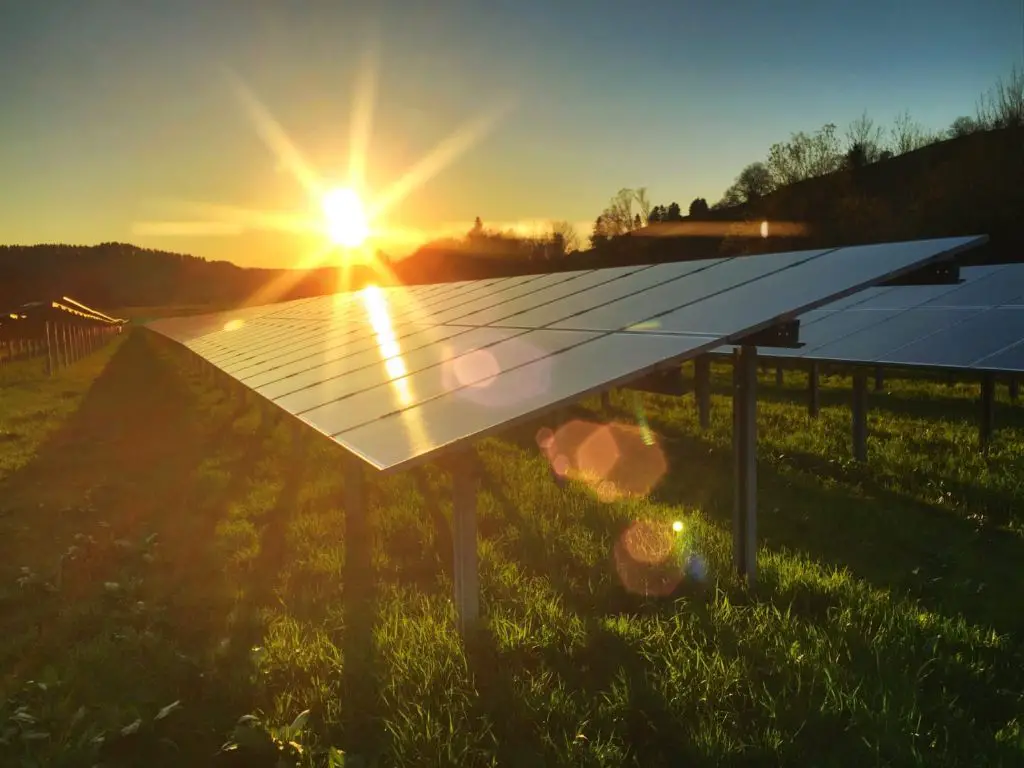 solar cells convert sunlight into renewable electricity