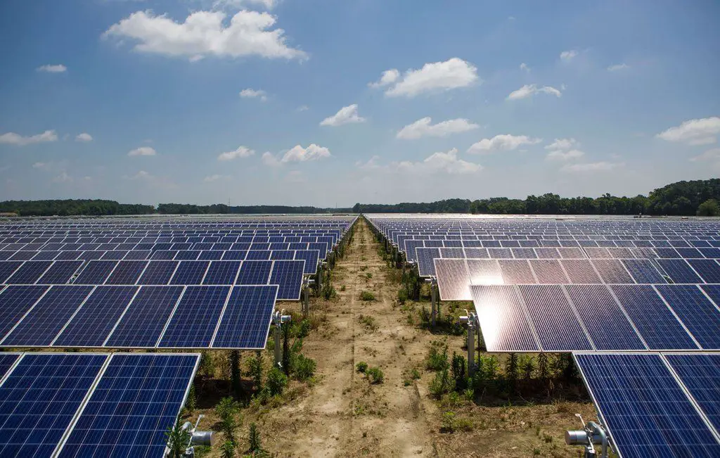 solar farms require abundant open land to effectively generate solar power.