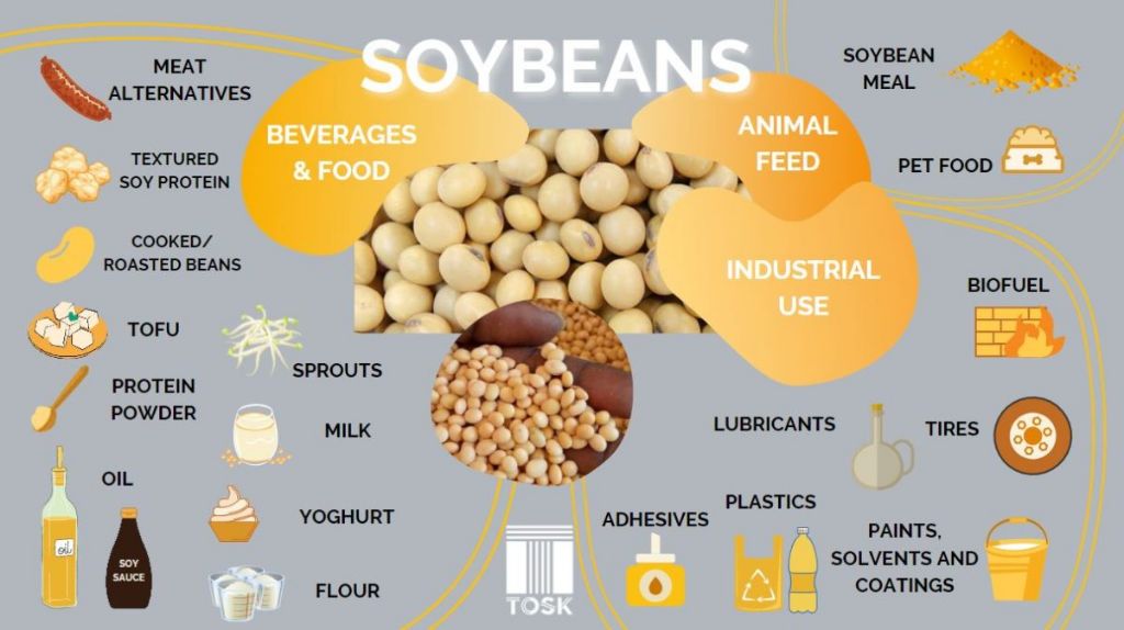soybeans can be processed into biodiesel fuel