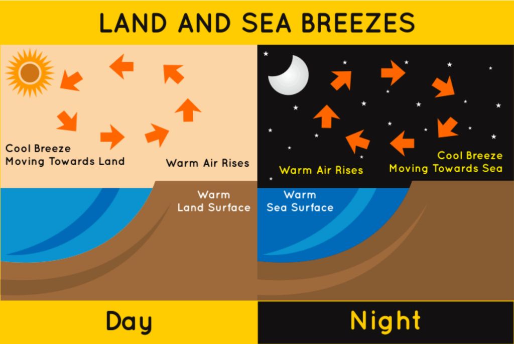 temperature differences between land and sea cause local winds