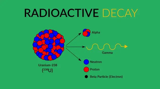 the decay of radioactive elements like uranium and thorium in earth's interior produces heat that helps drive geological processes.