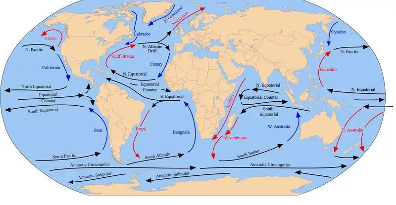 wind blowing across oceans drives surface currents distributing heat and nutrients