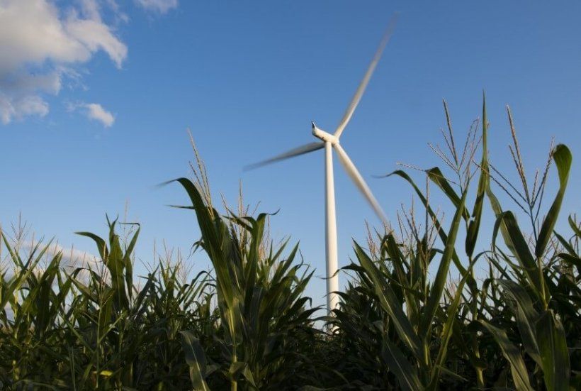 wind power generates electricity without emitting air pollution or greenhouse gases.